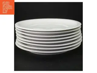 8 middagstallerkener, hvidt porcelæn (str. 23,5 cm)