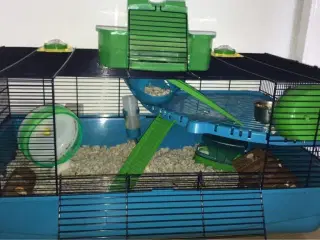 Hamster plus tilbehør