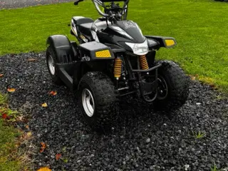Kitten 50cc
