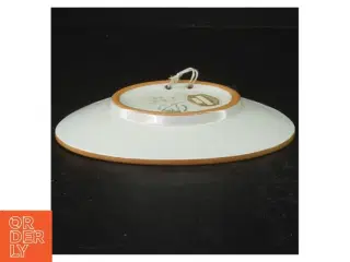 Collector&#39;s Plate, Storm P (str. 16 cm)