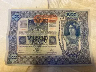 Tausend Kronen/1000 kr Østrig-Ungarn 1902