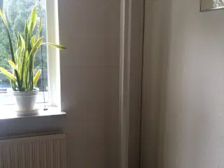 Gulv lampe