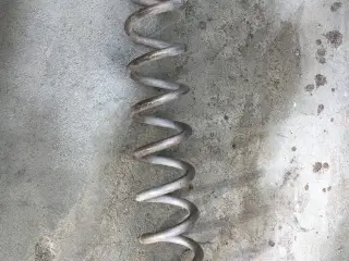 spiral snegle