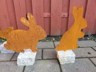 Hare/ kanin
