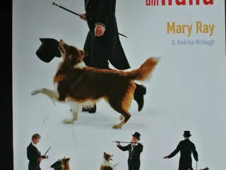 dans med din hund - lette og sjove øvelser for dig
