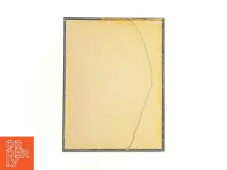 Indrammet botanisk tryk (str. 40 x 30,5 cm)
