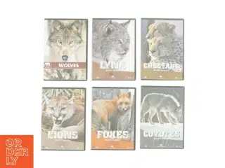 Helt nye  DVD&#39;er med forskellige dyr (Stadig i Folie)