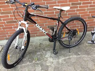 MTB