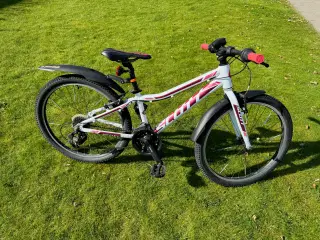 Mauntain bike pige 24” Scott
