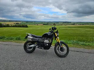 TRIUMPH 1200 SCRAMBLER
