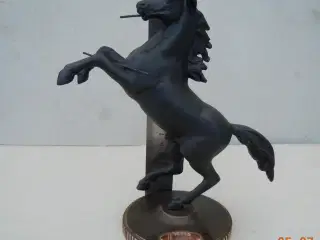 Colt, stejlende hest .