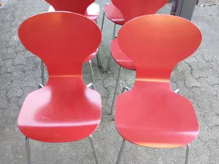 6 stole