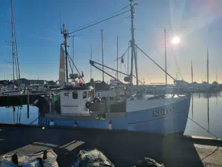 Hyggelig kutter