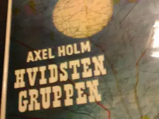 Bog om Hvidstengruppen.