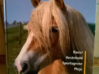 Heste - Vore ædle venner