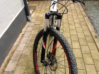 Specialized Mountainbike
