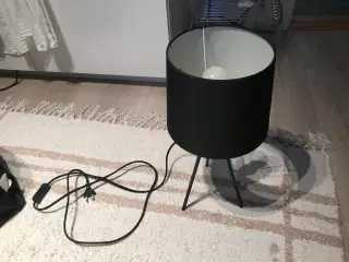 Lampe sort