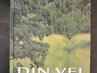din vej - psykologi og selvværd, Af terje nordberg