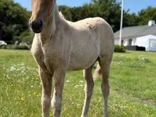 Her og nu pris 30.000