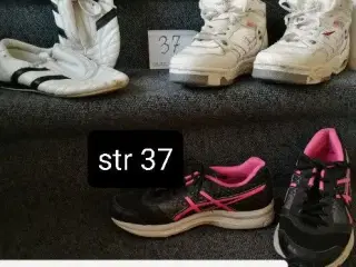 Str 37 sko