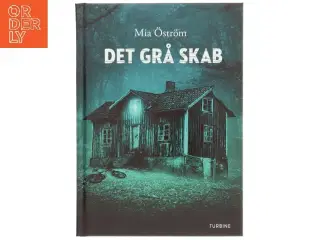 Det grå skab af Mia &#214;strm (Bog)