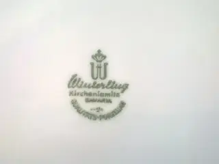 Tallerkener Winterling 