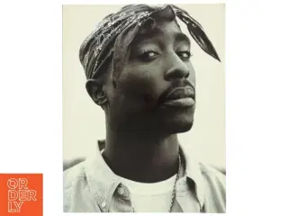 Tupac Shakur (Bog)