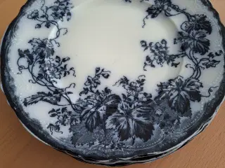 frokosttallerkner royal wedgwood &co loengland