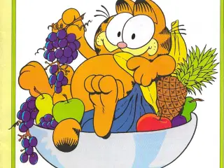 Garfield nr. 6  Glad-Blad. 1988