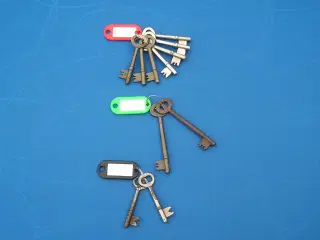 Rex nøgler