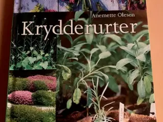 Krydderurter - Anemette Olesen