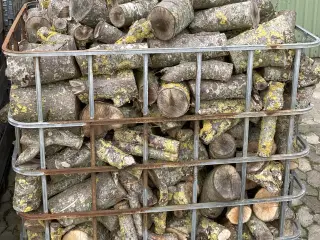 Brænde Røn, skåret i 20-35cm stykker