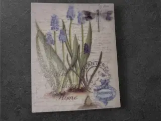 Botanisk mini-tryk: Botanical Home med guldsmed