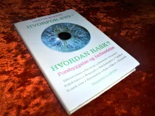 Hvorfor syg - hvordan rask ?, Grethe Schmidt