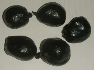 Skåle / frugter