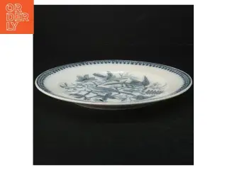 Villeroy & Boch fasan platte fra Villeroy & Boch (str. Ø. 22,5 cm)
