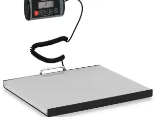 Pakkevægt – 100 kg / 0,05 kg – eksternt LCD