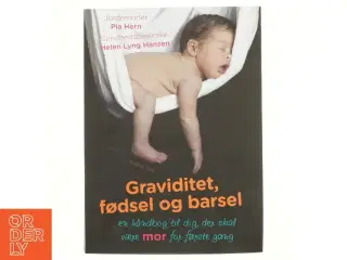 Graviditet, fødsel og barsel : en håndbog til dig, der skal være mor for første gang af Pia Hern (Bog)