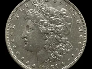 Morgan Dollar 1881 O