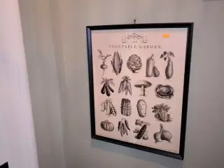 Div. Billeder og toiletnips
