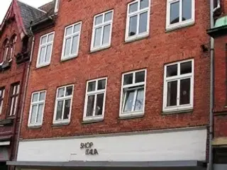 Stor og lækker lejlighed i midtbyen, Viborg