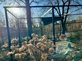 Diverse ting til haven