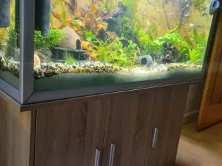 Akvarie 200L med bord