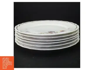 Porcelæns middags tallerkener med blomstermotiv fra Bavaria (str. Diameter 25 og en halv cm)