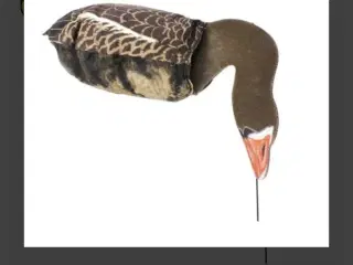 Lokkegæs/silosooks