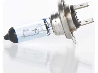 Bosch Xenon Blue pære H7 55W 12V