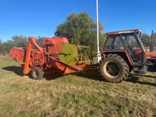 Dronningborg 600