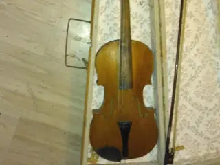 Violin ?