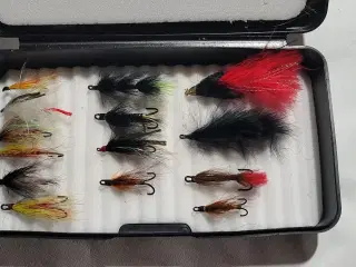 Nye fluer 