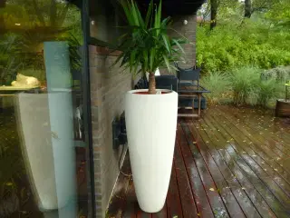 Udendørs krukke incl. plante.